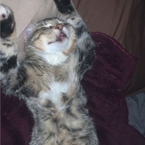 Meet your Posher, Keia